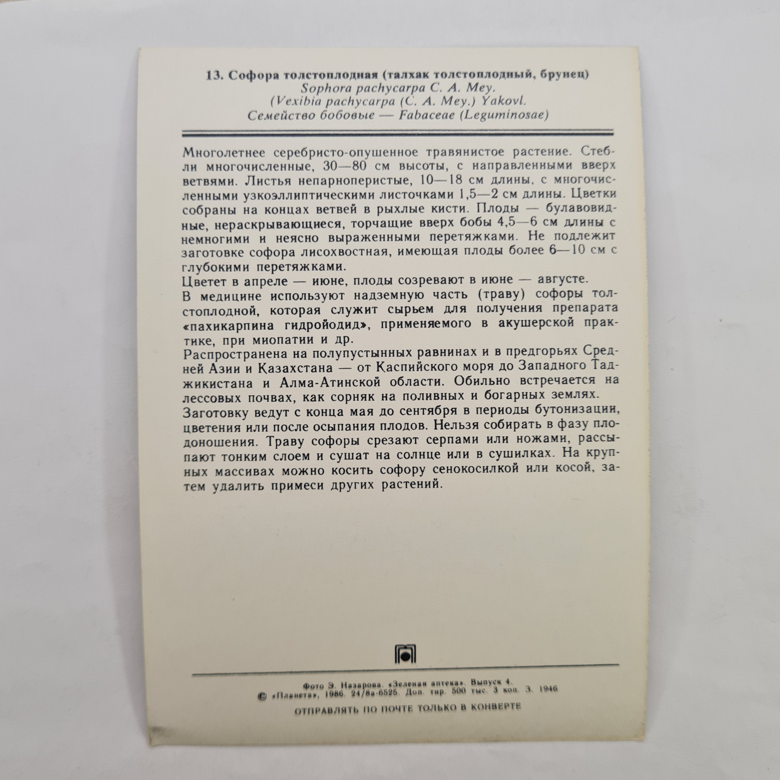 Картинка 2