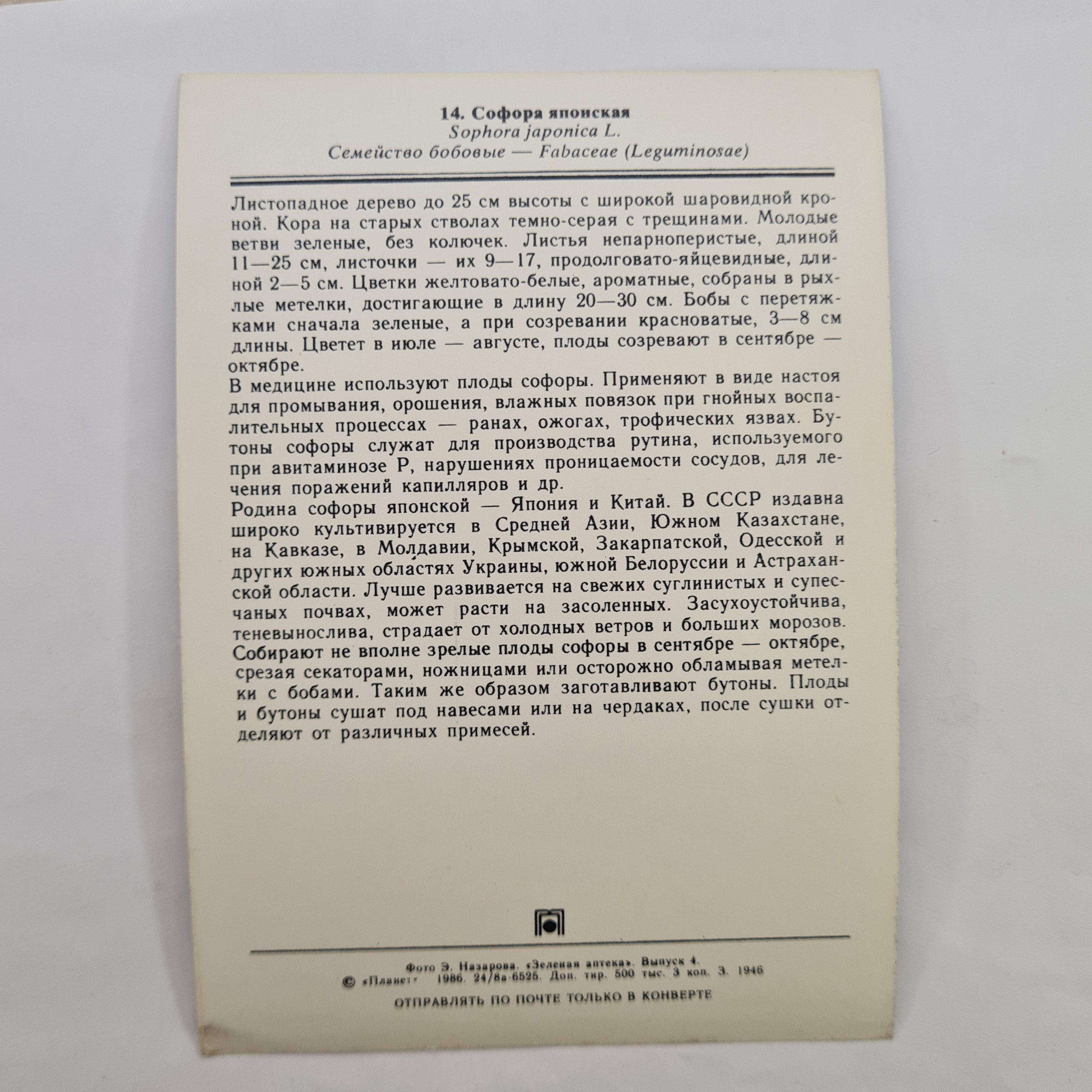 Картинка 2