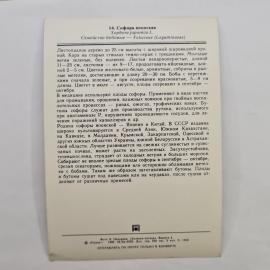 Картинка 2