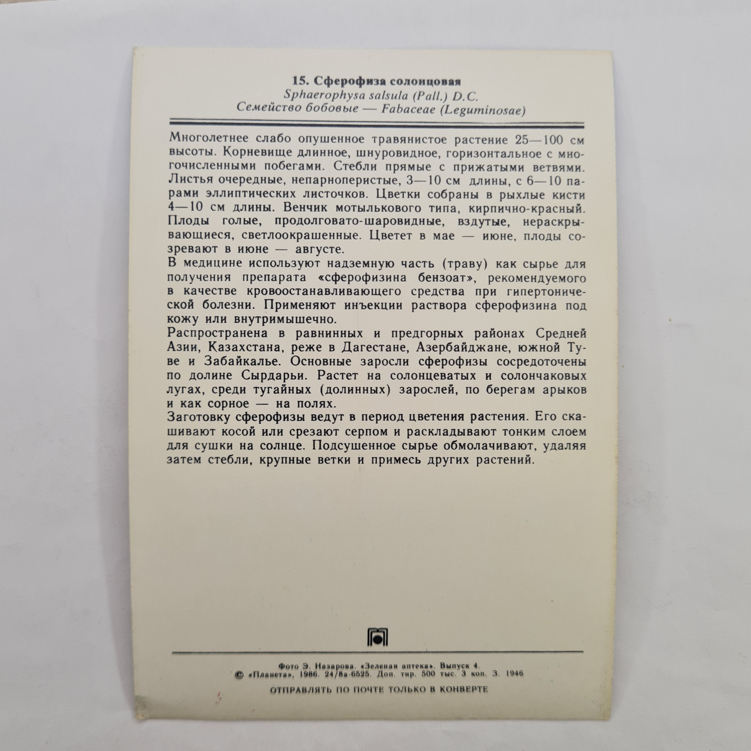 Картинка 2