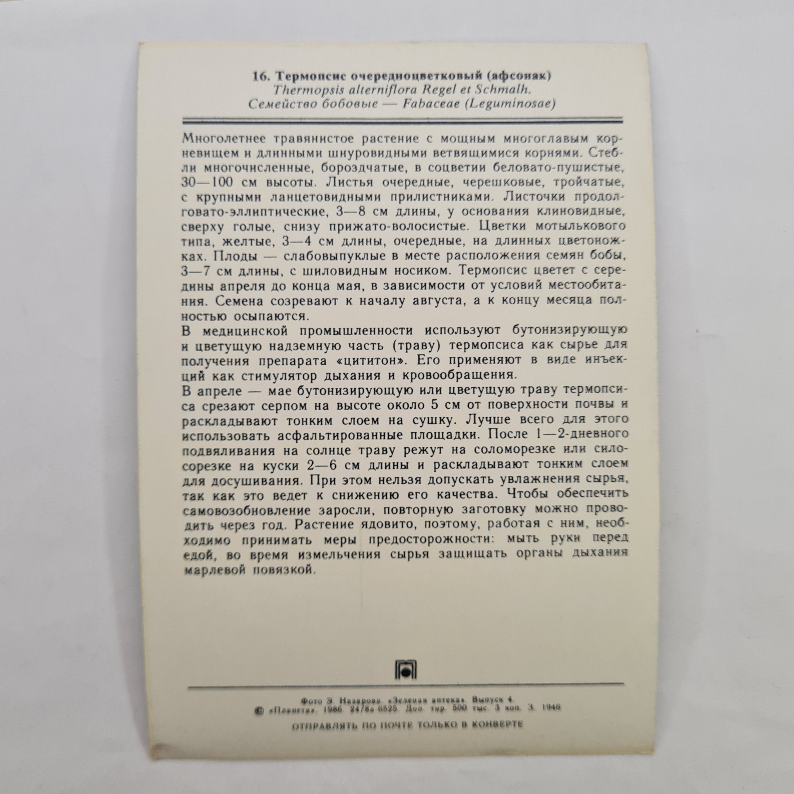 Картинка 2