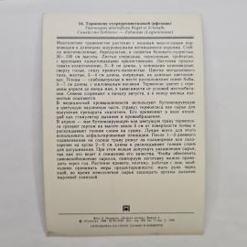 Картинка 2