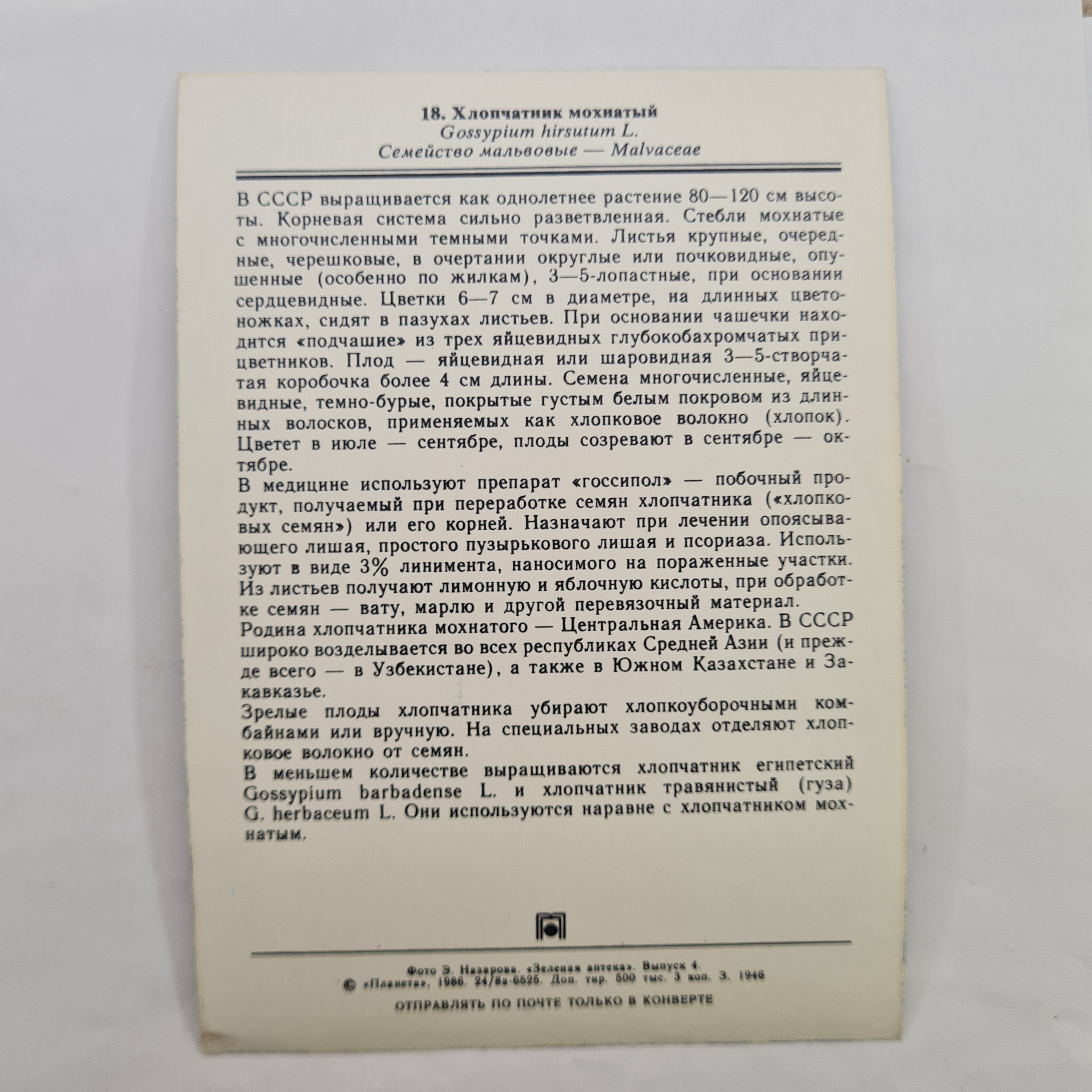 Картинка 2