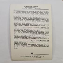 Картинка 2