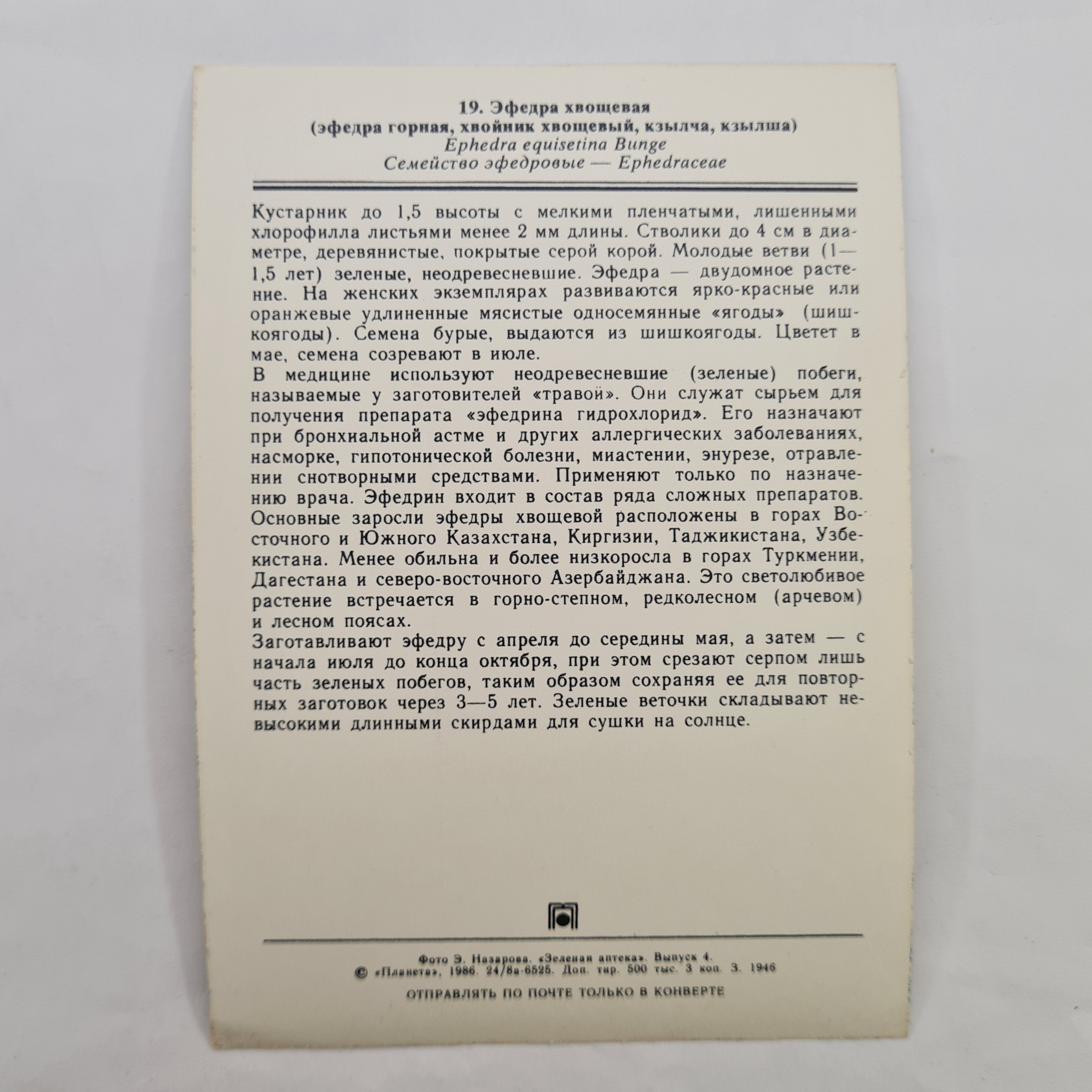 Картинка 2