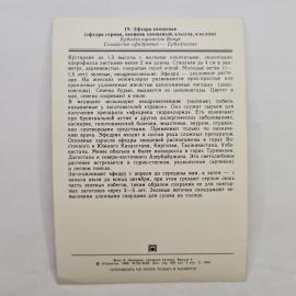Картинка 2