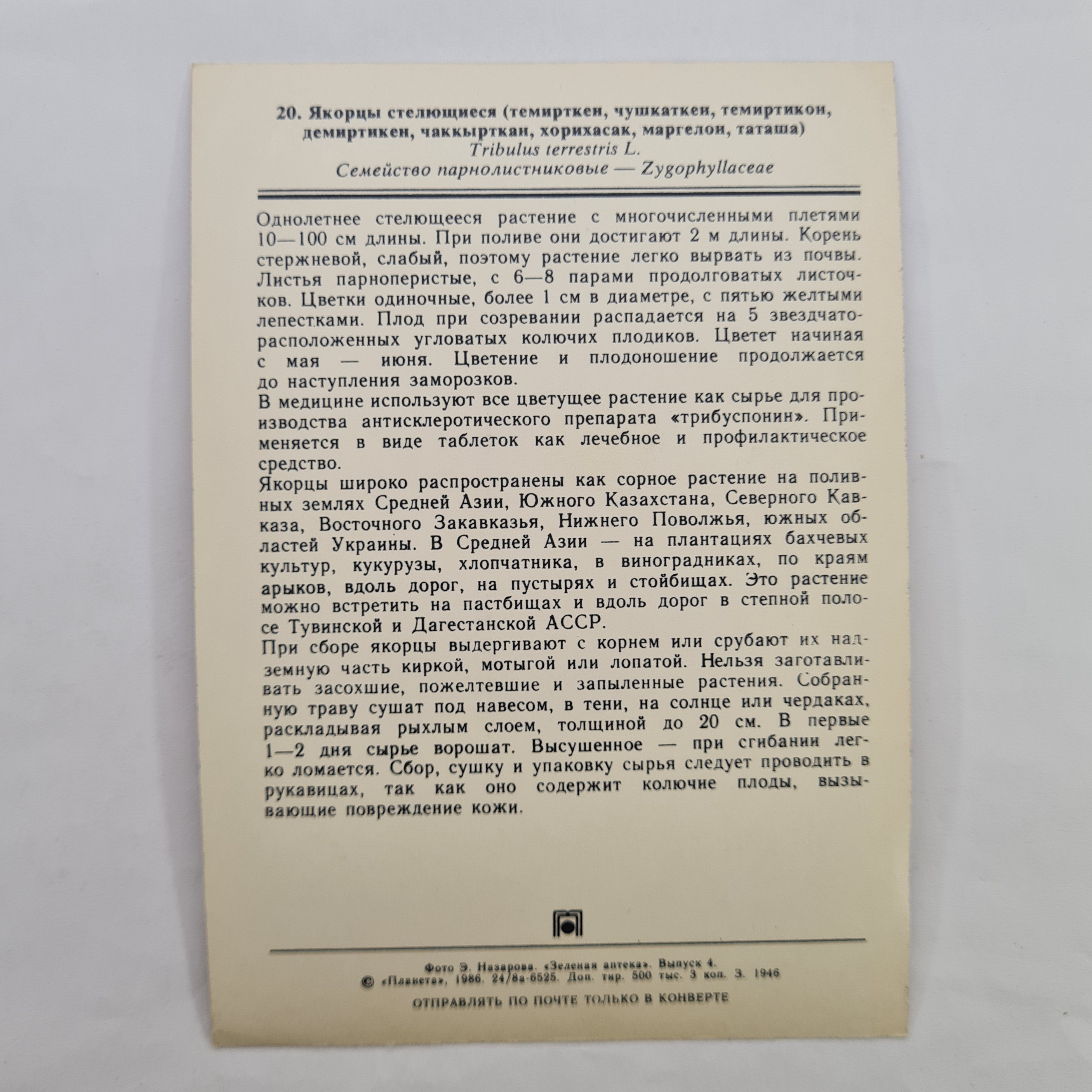 Картинка 2