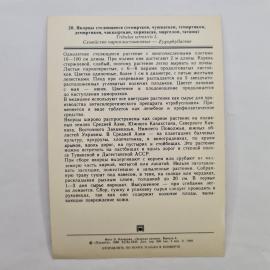 Картинка 2