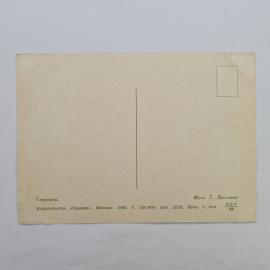 Картинка 2