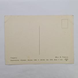Картинка 2