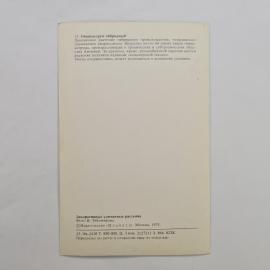 Картинка 2