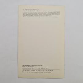 Картинка 2