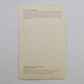 Картинка 2