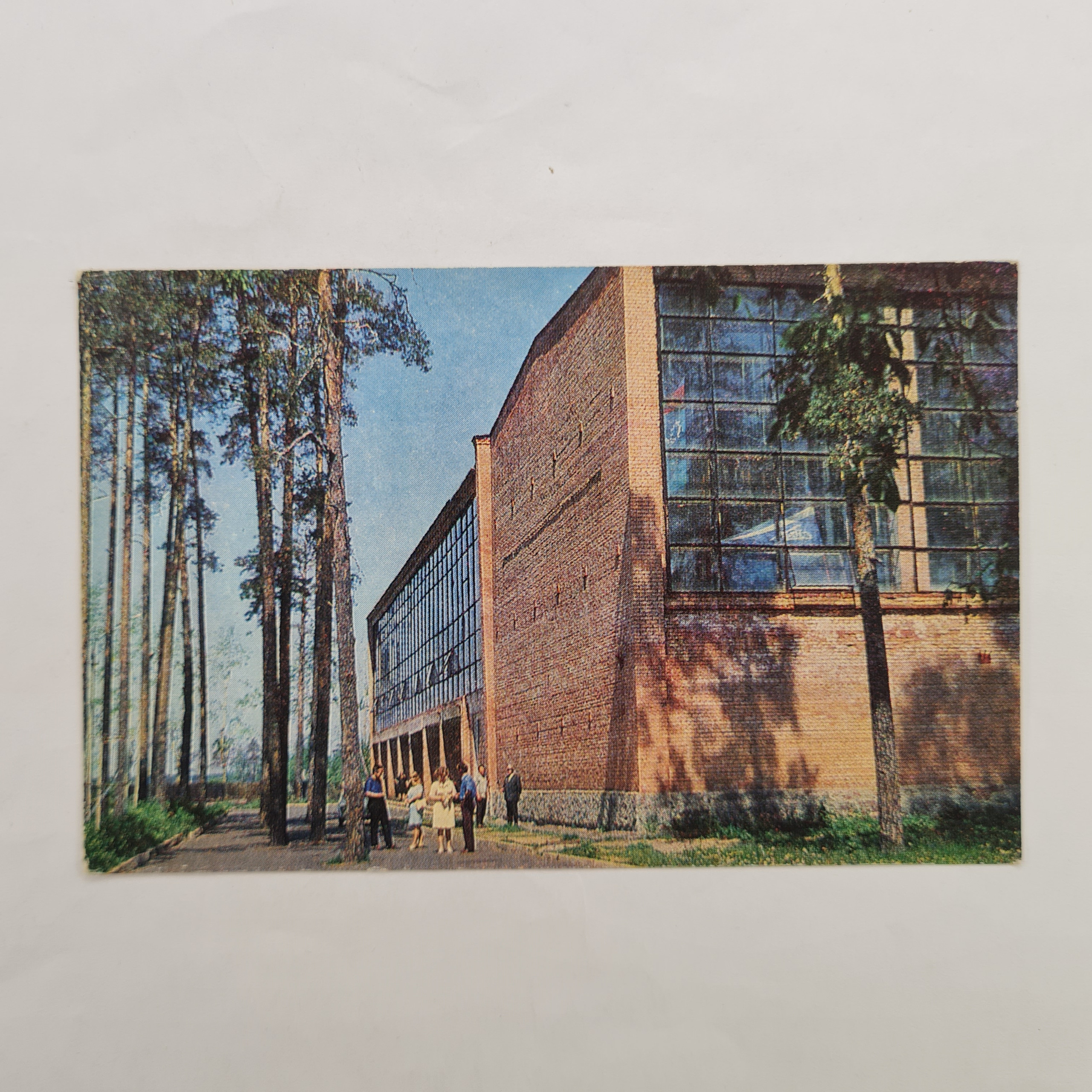 Картинка 1