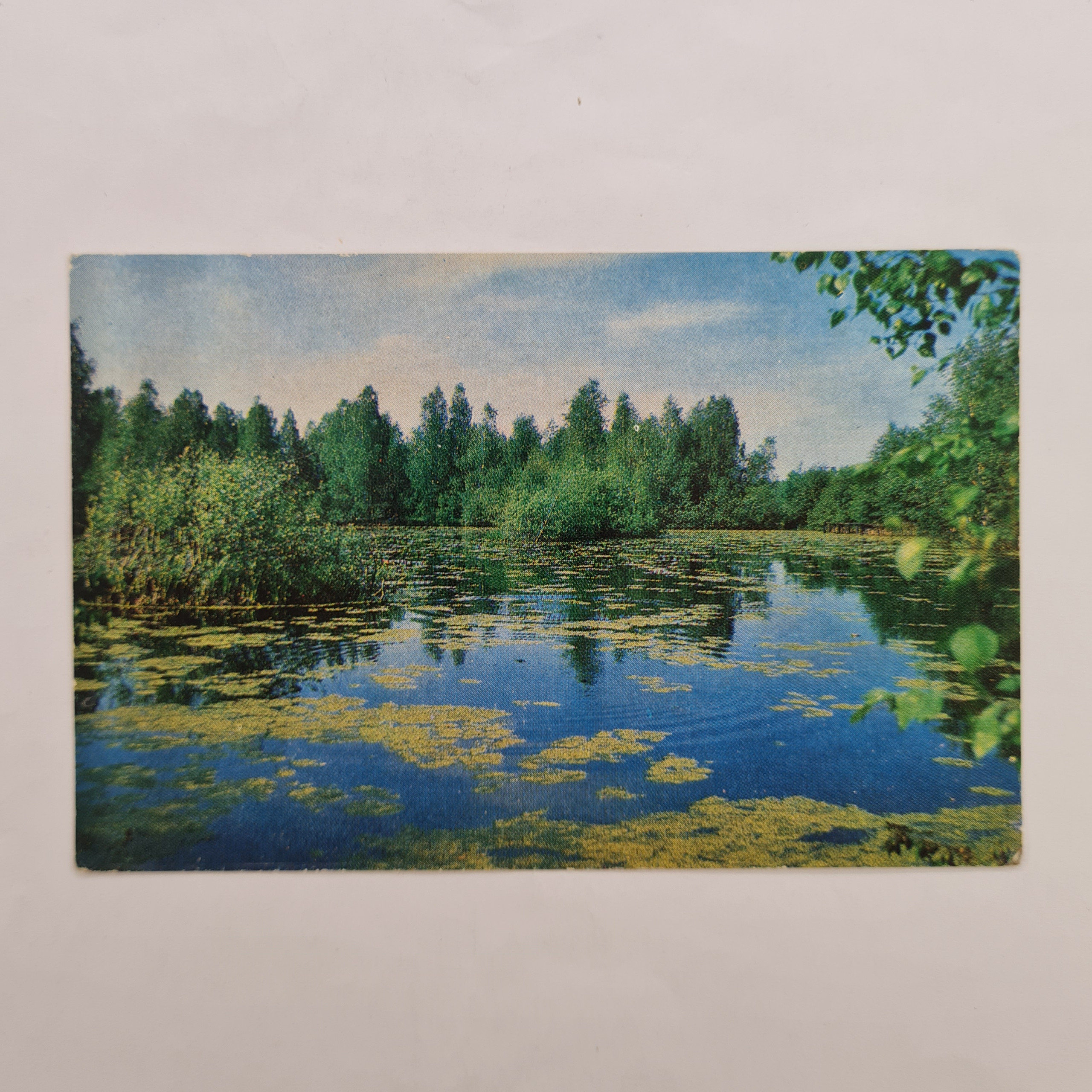 Картинка 1
