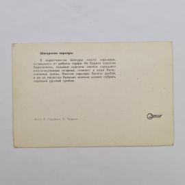 Картинка 2