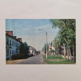 Открытка советская СССР. Поселок Керва, пригород Шатуры, улица с домами и березами, винтаж