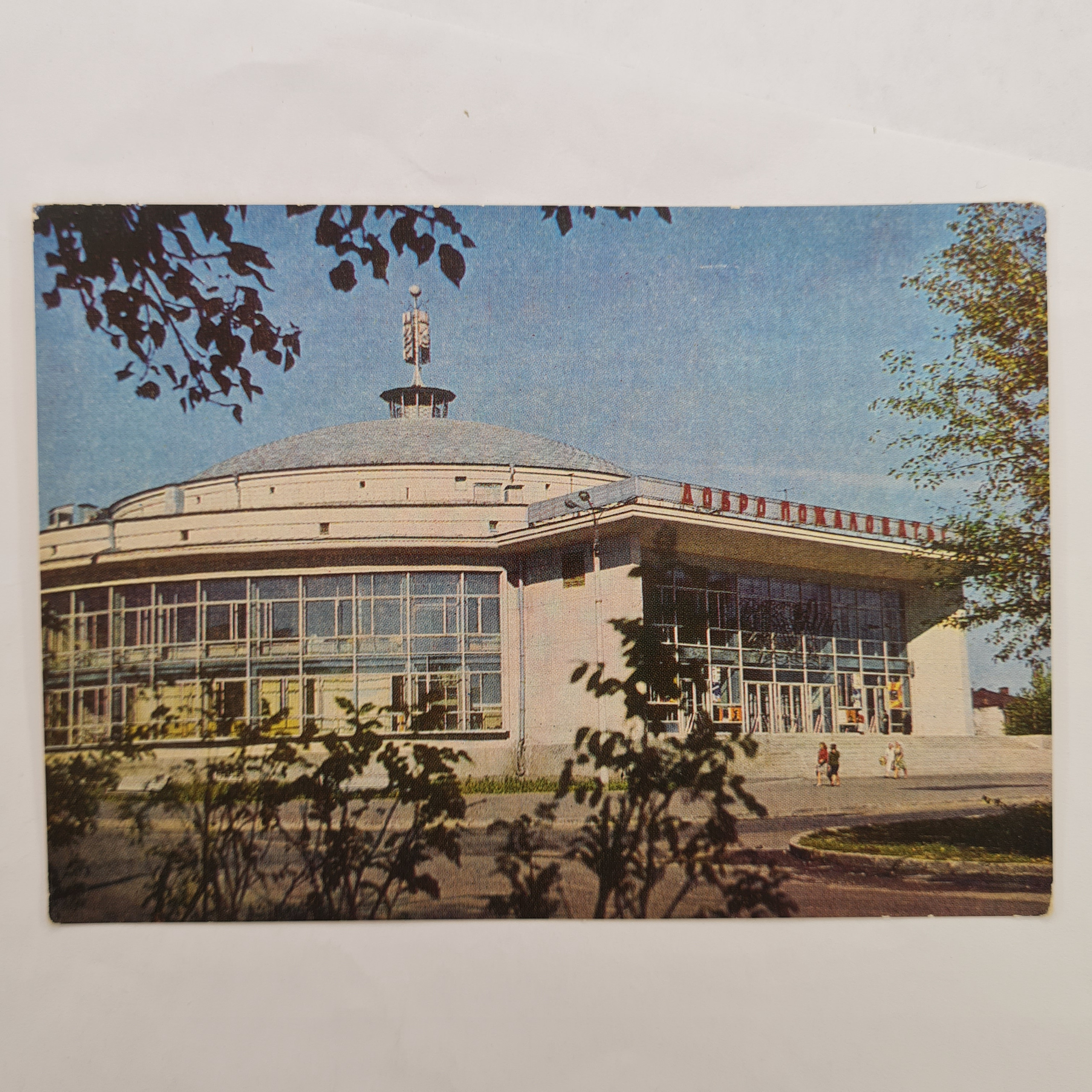 Картинка 1