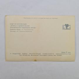 Картинка 2