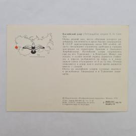 Картинка 2