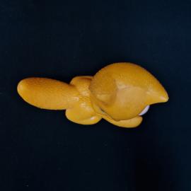 Картинка 6