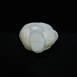 Картинка 6