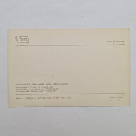 Картинка 2
