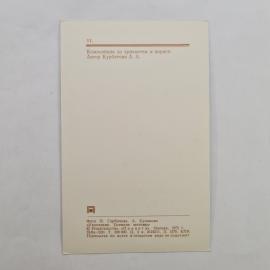 Картинка 2