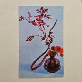 Открытка советская СССР. Композиция из хризантем, ветки шиповника и коряги, цветы, винтаж