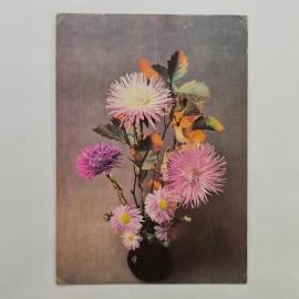 Открытка советская СССР. Букет астр в вазе, цветы, фотокомпозиция Е. Савалова, винтаж