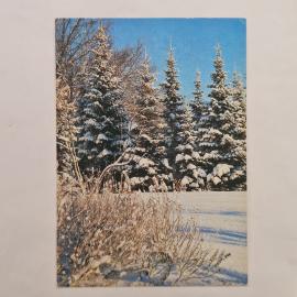 Картинка 1