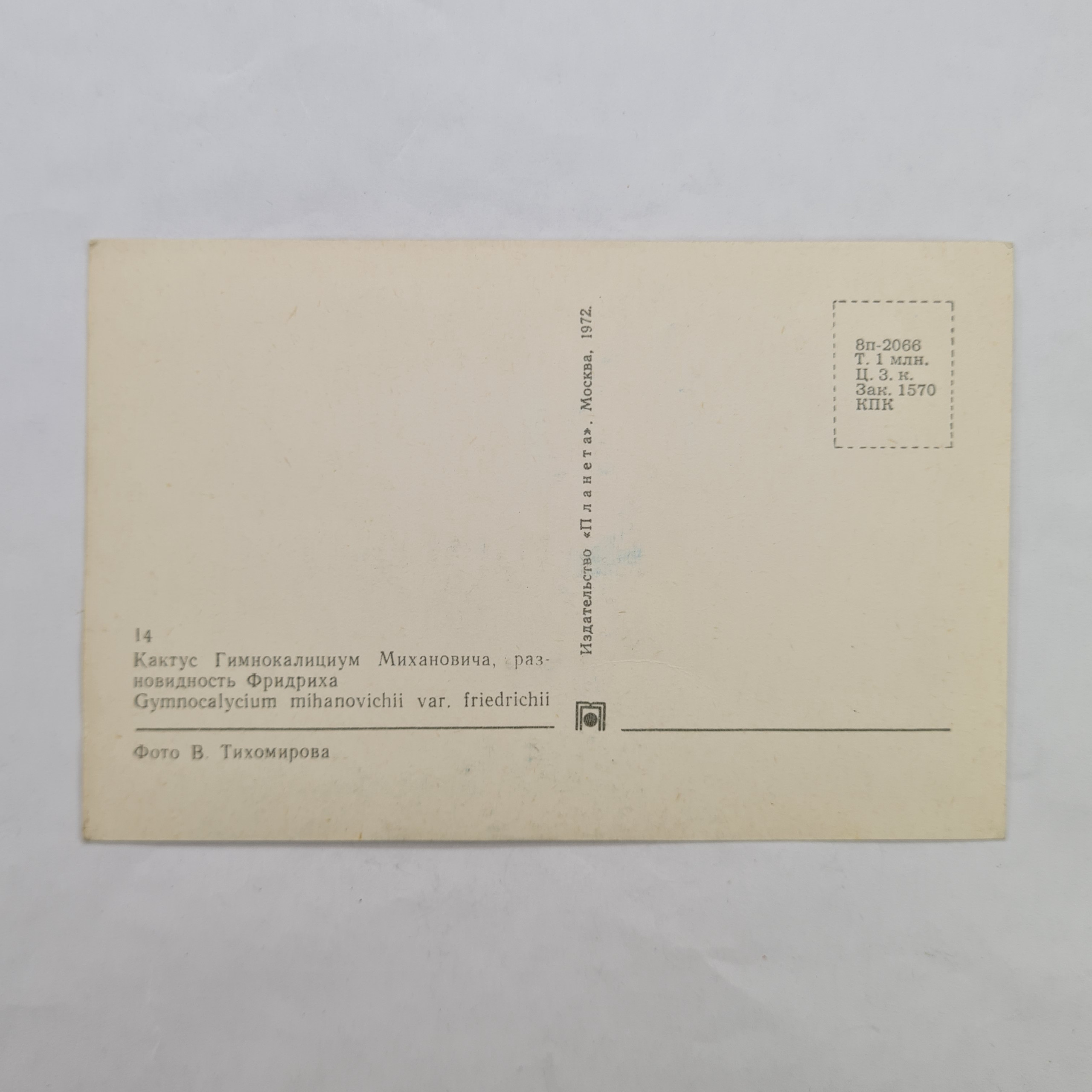 Картинка 2