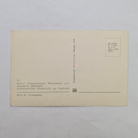 Картинка 2