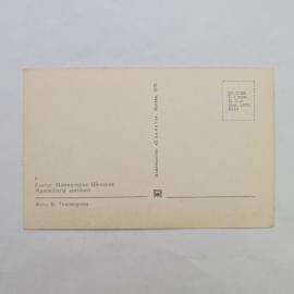 Картинка 2