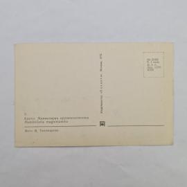 Картинка 2