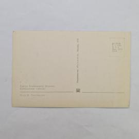 Картинка 2