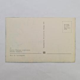 Картинка 2