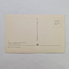 Картинка 2