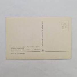 Картинка 2