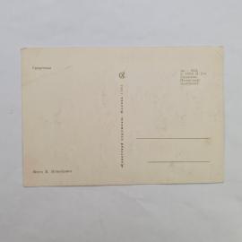 Картинка 2