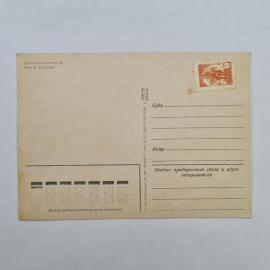 Картинка 2