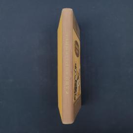 Картинка 2