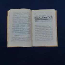 Картинка 4