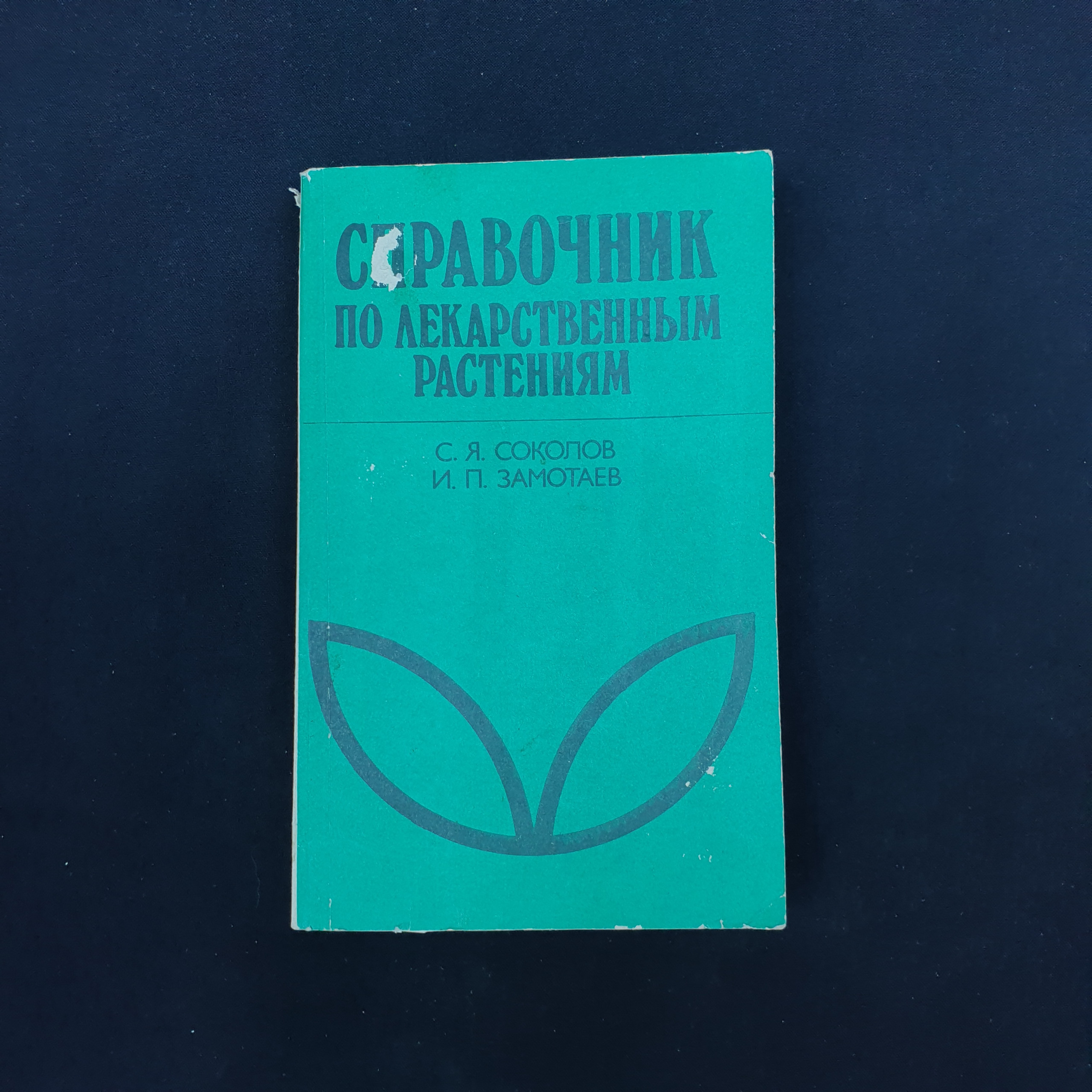 Картинка 1