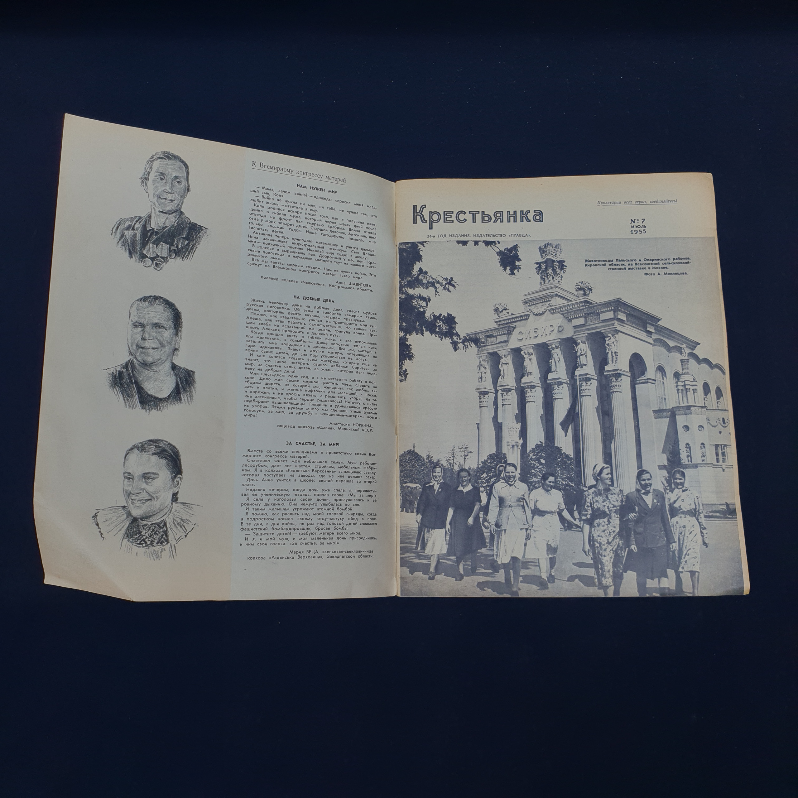 Картинка 2
