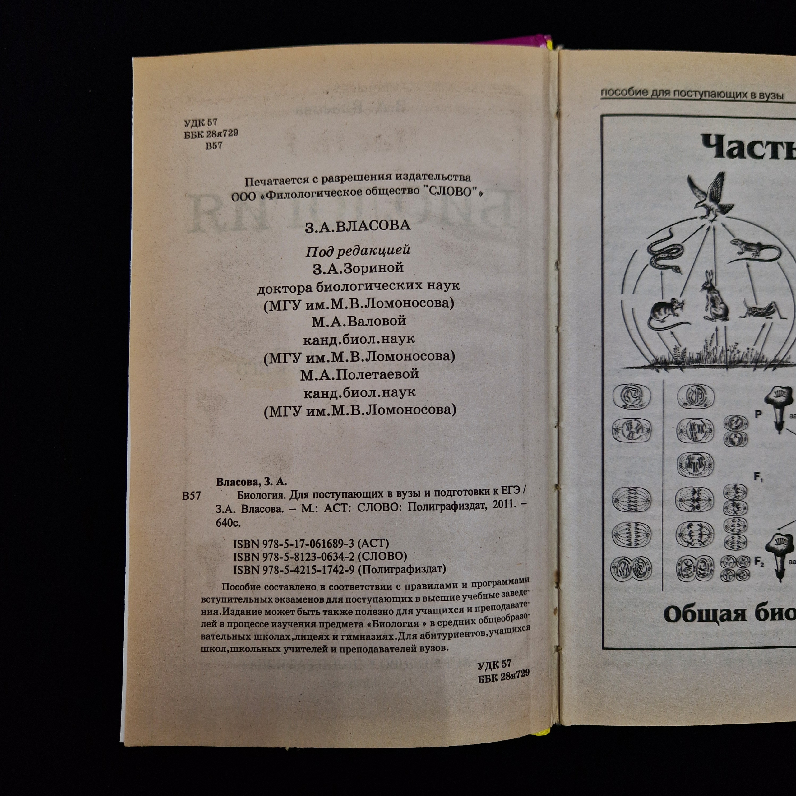 Картинка 5