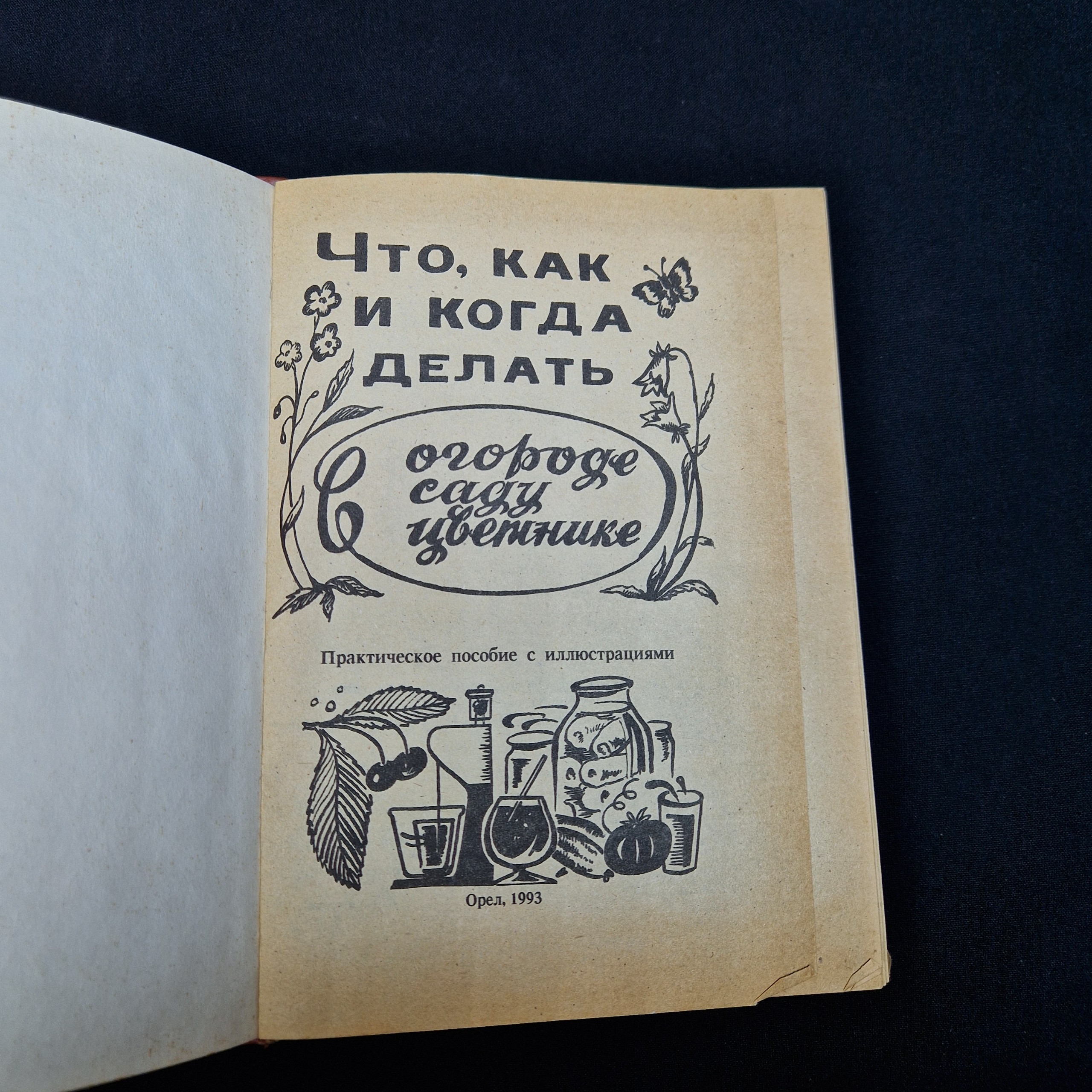 Картинка 4