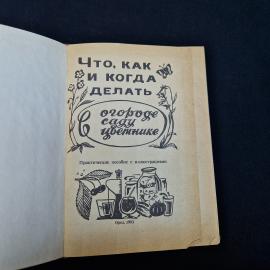 Картинка 4