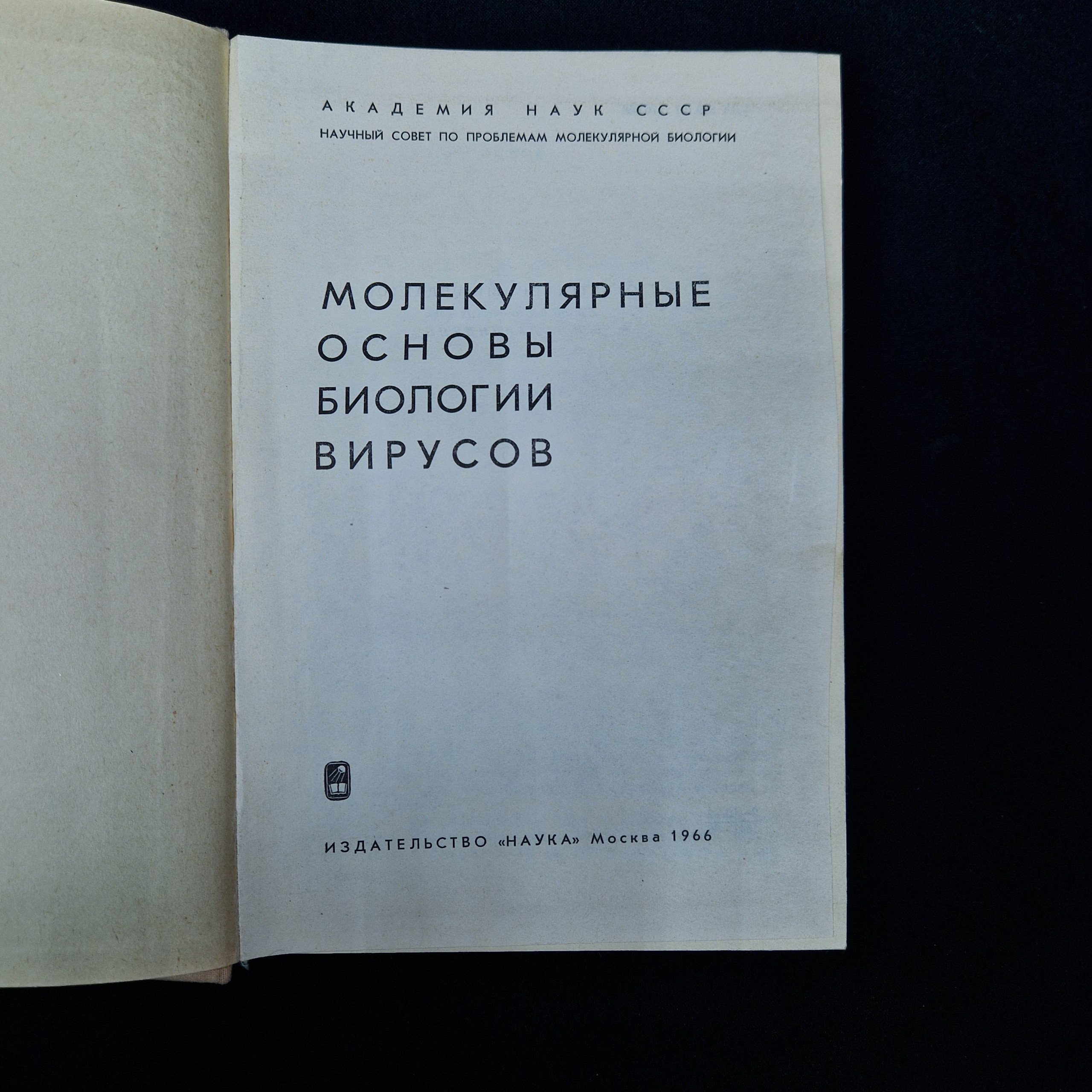 Картинка 4