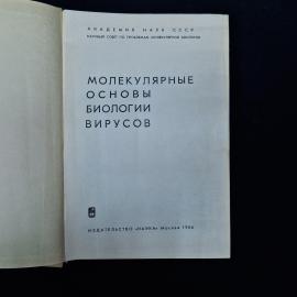 Картинка 4